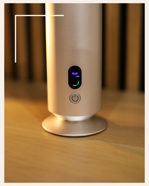 Zenova™ Aroma Diffuser + 3 Geuren