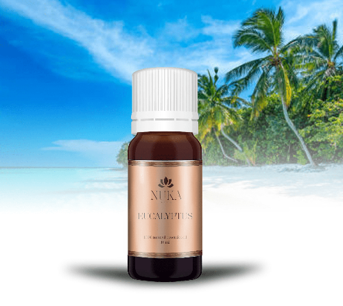 Eucalyptus - 100% Pure Essential Oil | 10ml